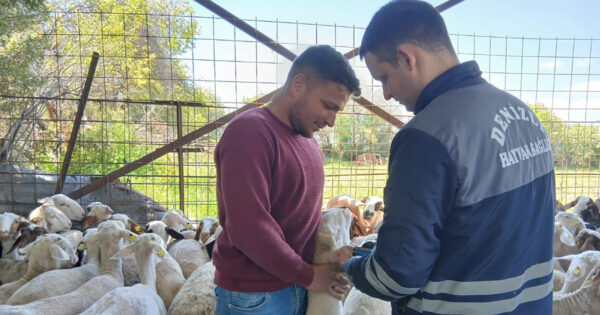 Hayvan sağlığı için Güney’de ekipler sahada