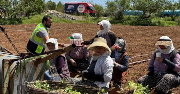 Tarım işçilerine serinleten ikram