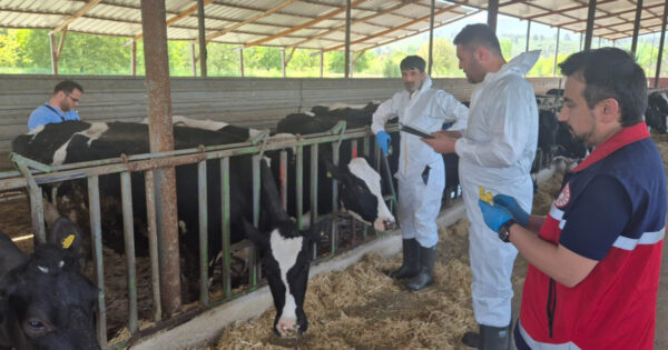 Güvenilir üretim için kontrol ve testler aralıksız sürüyor
