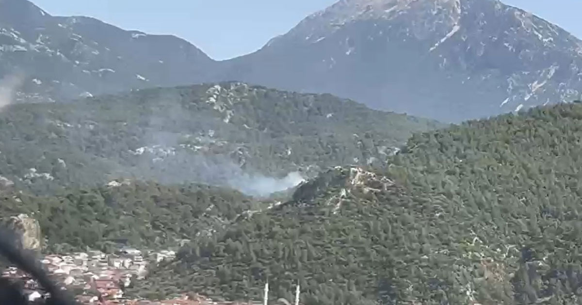 Fethiye’de orman yangını