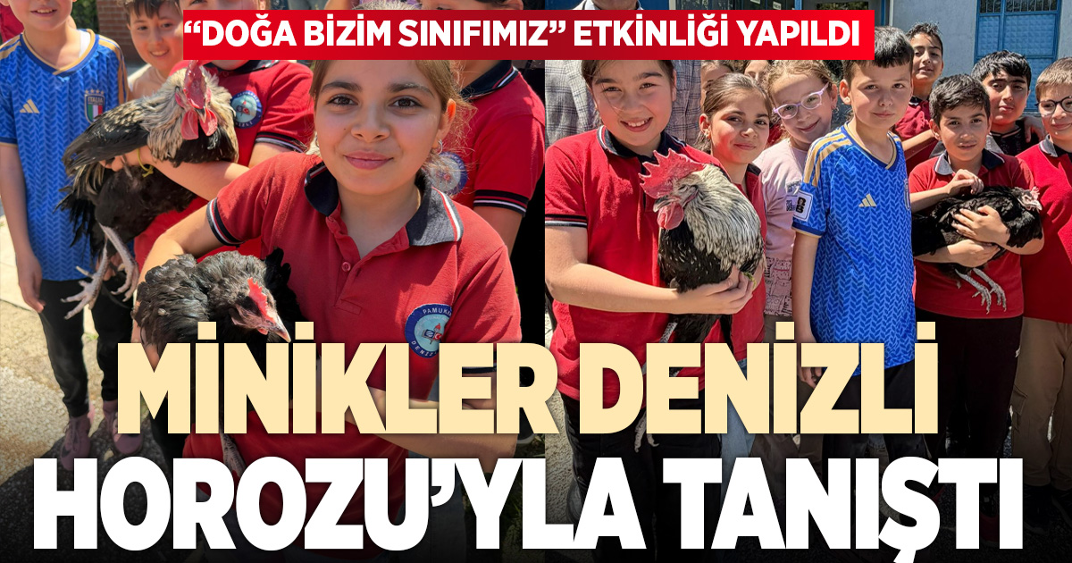 Minik öğrenciler Denizli Horuzu’nu yakından tanıdı