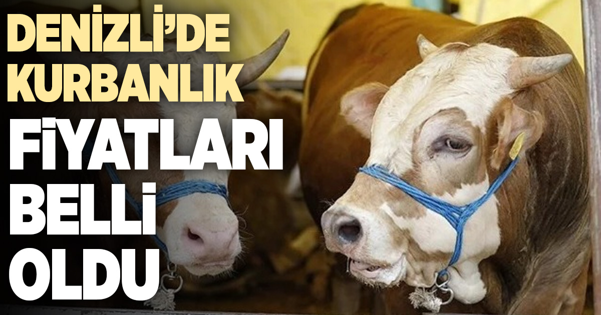 Denizli’de kurbanlık fiyatları belli oldu