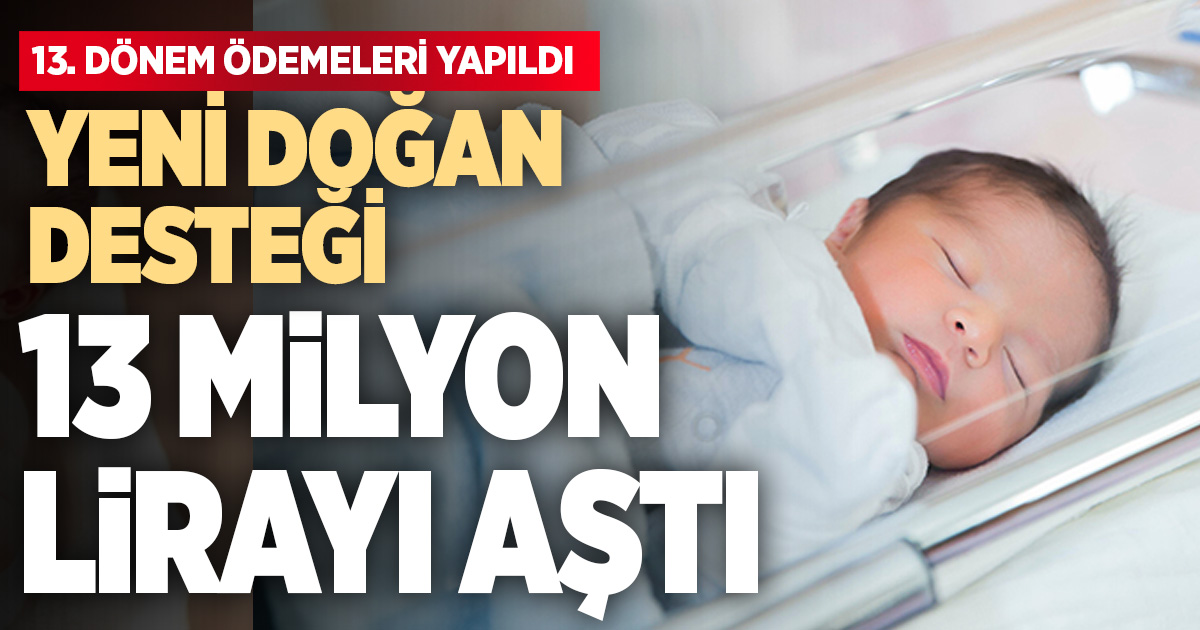 13. dönem ödemeleri hesaplara yatırıldı