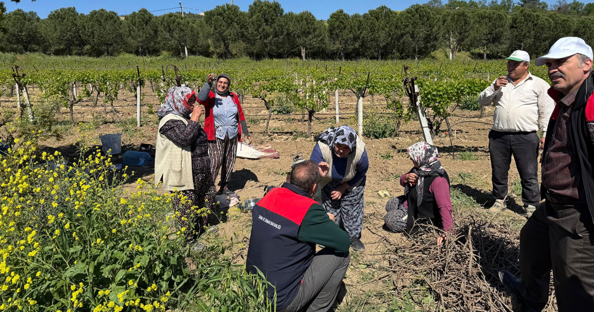 Çiftçiyle, tarlada, köyde buluşma