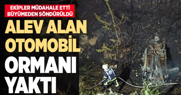 Şarampole yuvarlanan otomobil orman yangınına neden oldu