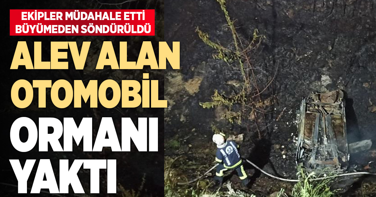 Şarampole yuvarlanan otomobil orman yangınına neden oldu