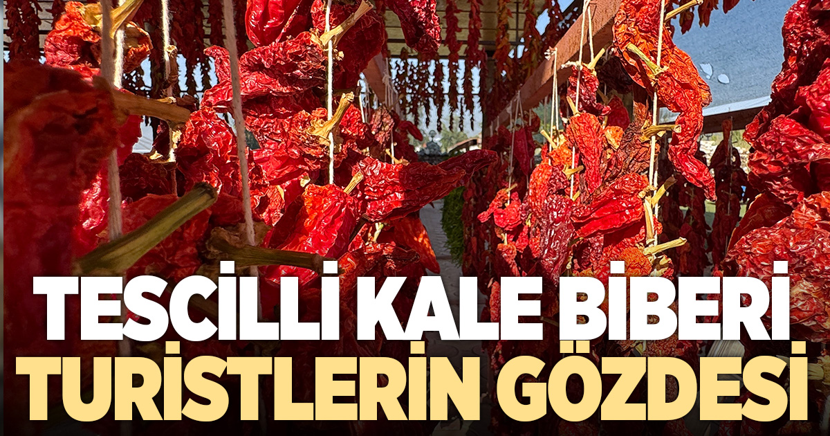 Tescilli Kale Biberi tatar ve cips olarak damakları şenlendiriyor