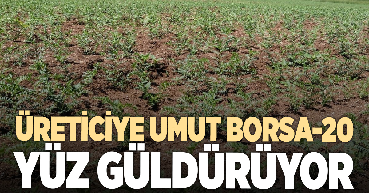 ÜRETİCİYE UMUT OLAN BORSA-20 YÜZ GÜLDÜRÜYOR