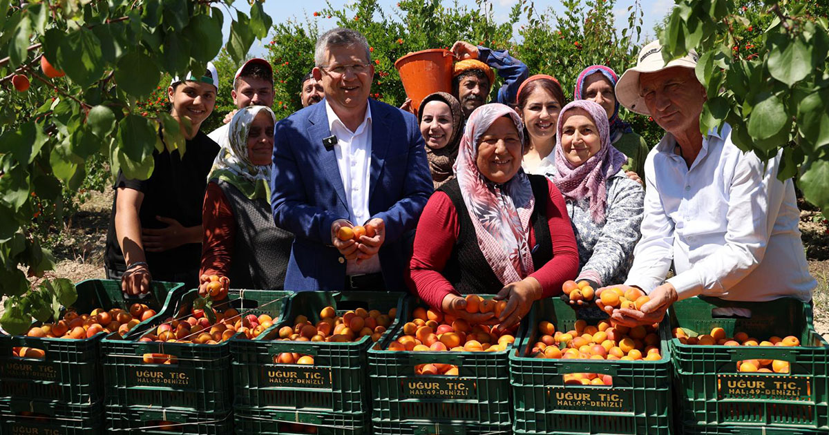 Ak Parti İl Başkanı Subaşıoğlu, kayısı ve kiraz hasadına katıldı
