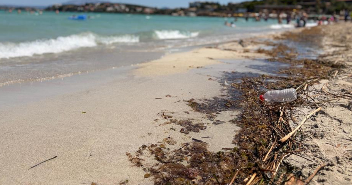 Çeşme sahillerindeki kirlilik tatilcilerin tepkisine neden oldu