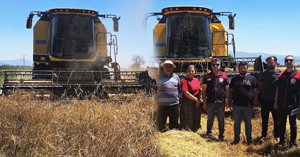 ACIPAYAM'DA HUBUBAT HASADI BAŞLADI