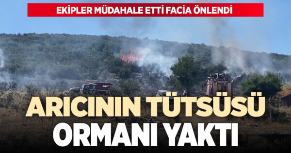Arıcının tütsüsü ormanı yaktı