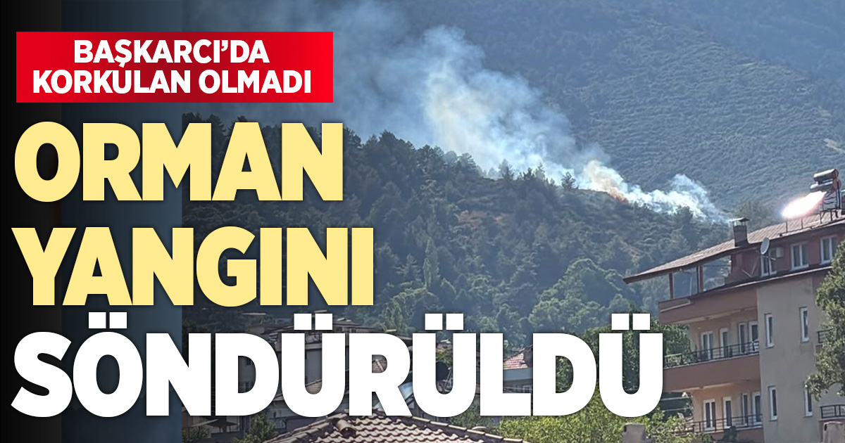 Başkarçı Dağında çıkan orman yangını kısa sürede kontrol altına alındı
