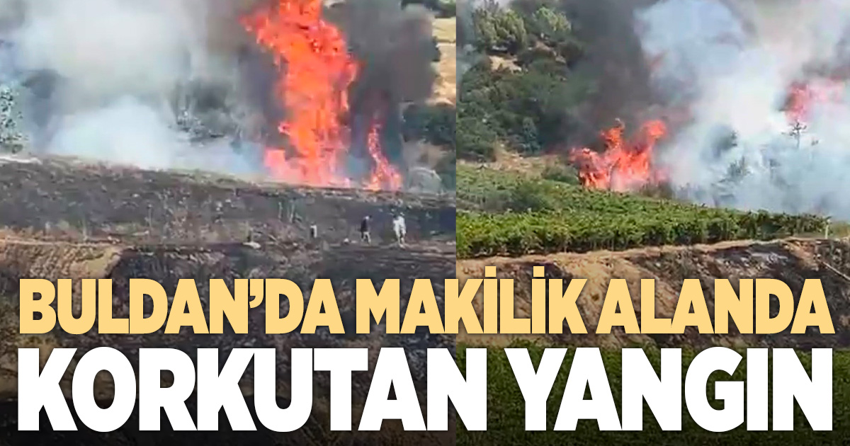 Buldan’da makilik alanda yangın çıktı