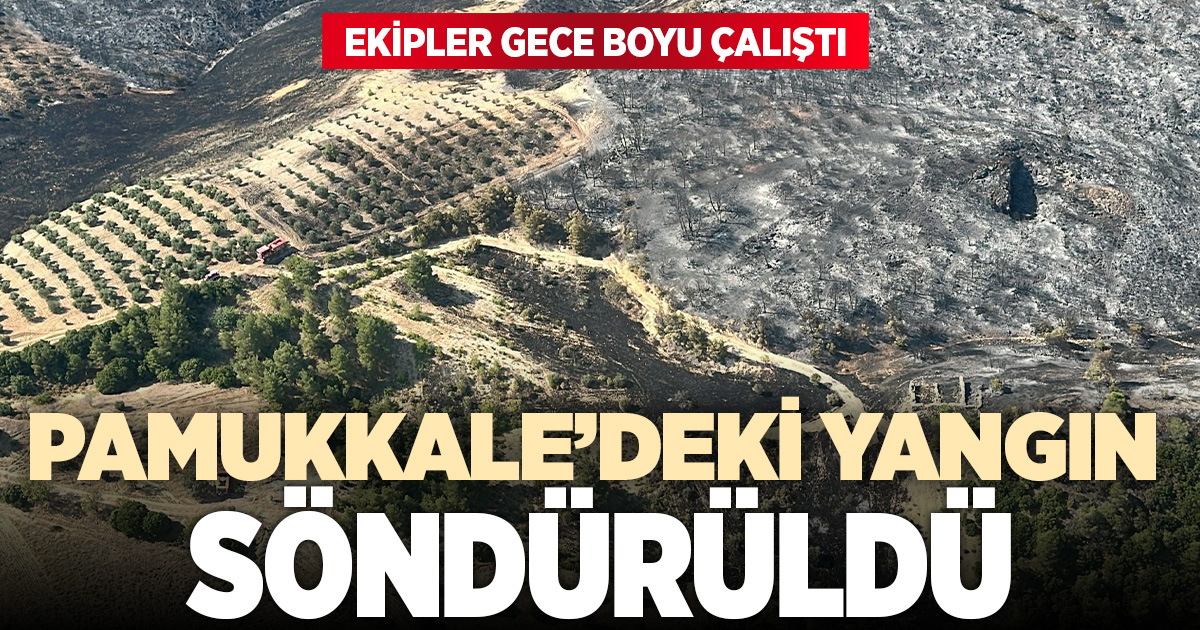 Denizli'de korkutan yangın kontrol altına alındı