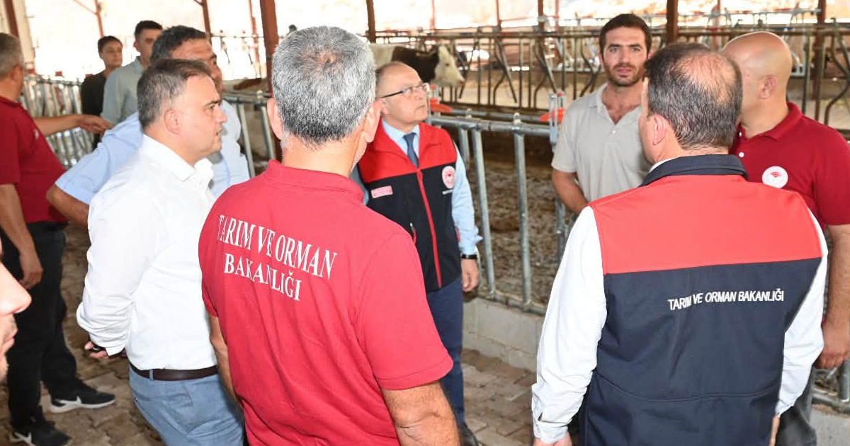 Kale’de sağlıklı hayvan, güçlü üretim için sahada inceleme