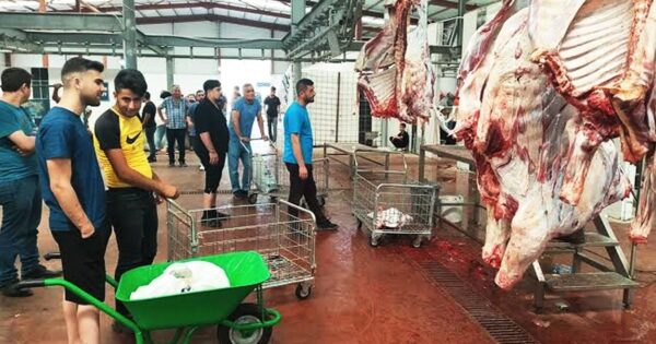 KESİMHANELERE KAMERA ZORUNLULUĞU GELİYOR