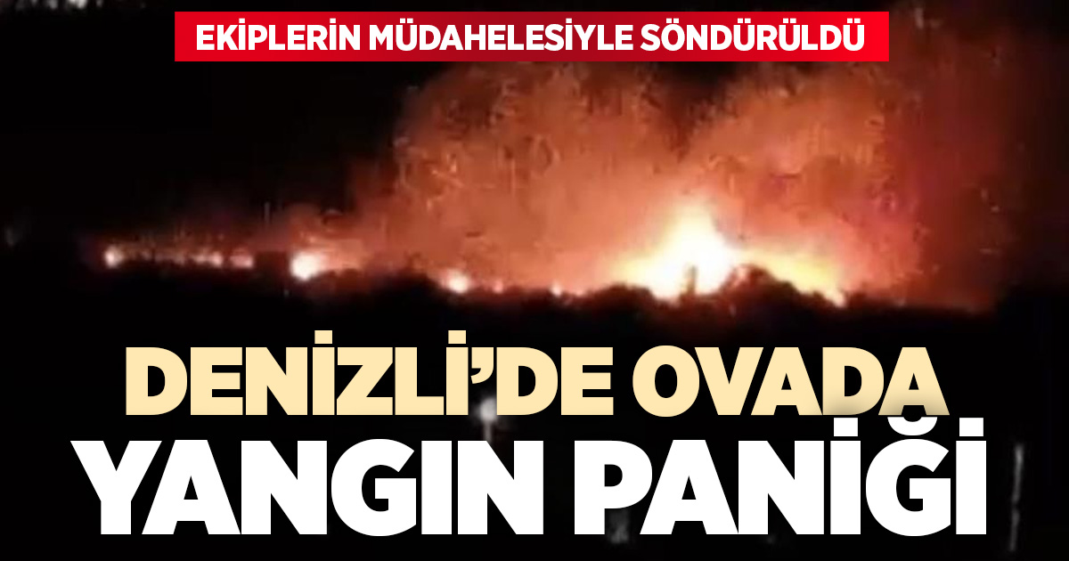 Denizli’de ovalık alanda yangın paniği