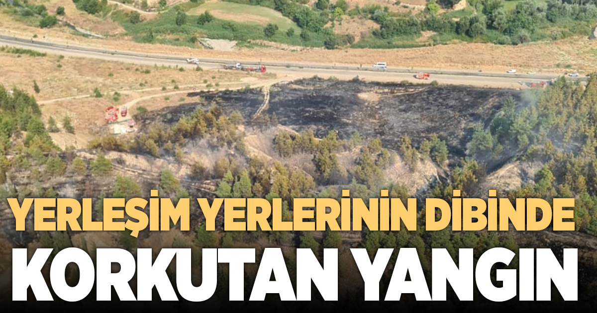 Yol kenarında başlayıp ormana sıçrayan yangın hızlı ve etkin müdahaleyle büyümeden söndürüldü