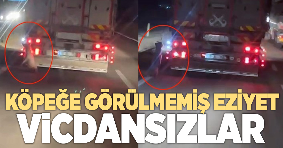 Köpeği kamyonetin arkasına bağlayıp sürükledi