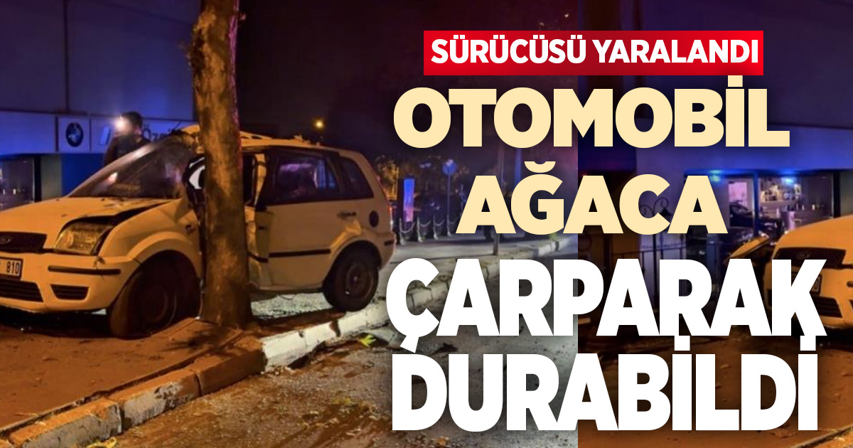 Kontrolden çıkan otomobil ağaca çarparak durabildi: 1 yaralı