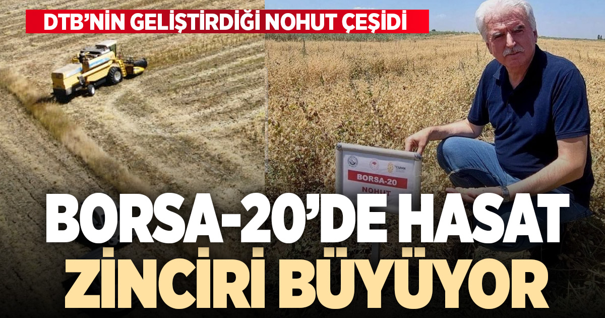 Yerli nohut çeşidi Borsa-20’de hasat zinciri büyüyor