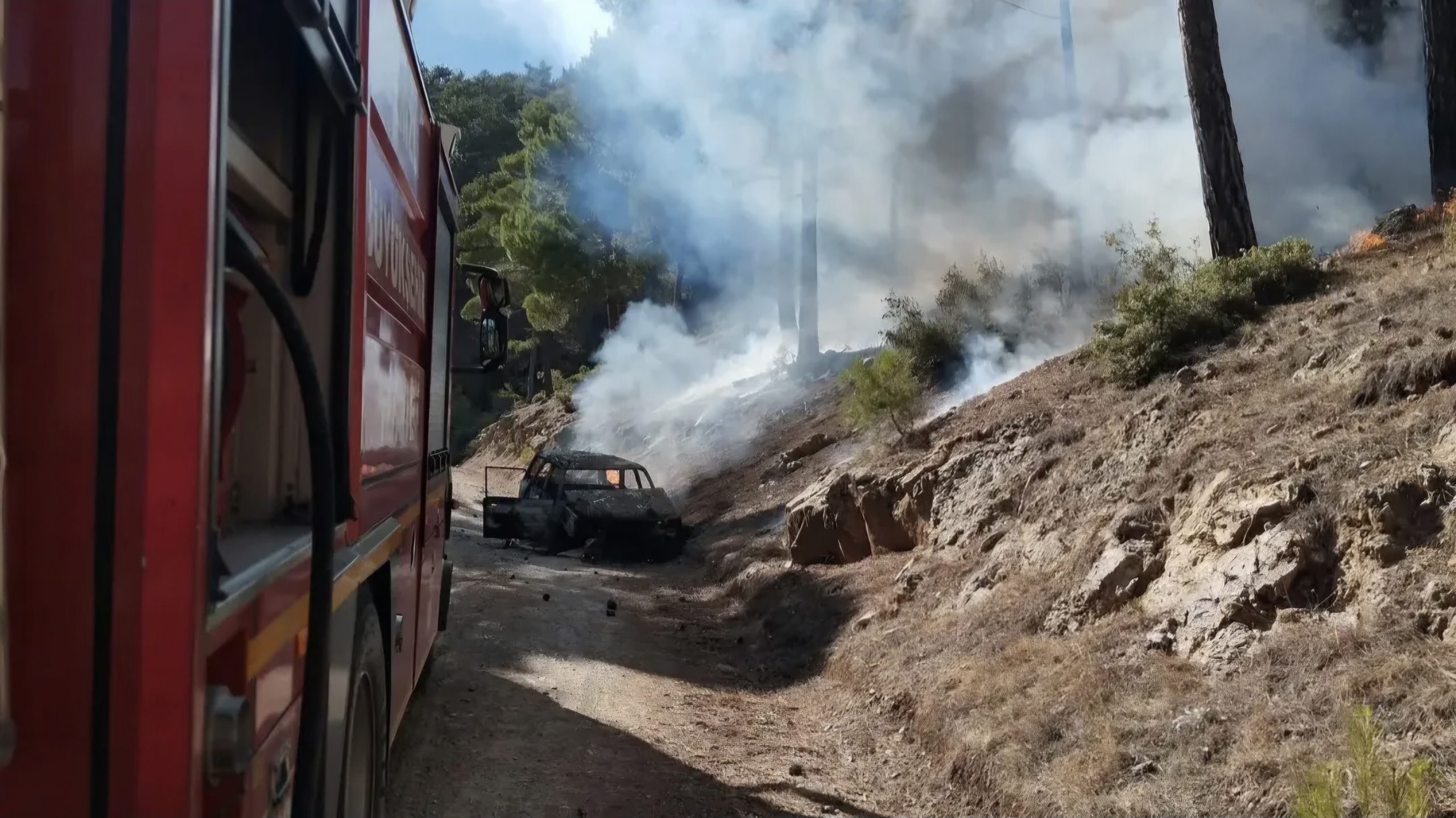  Orman yolunda alev alan otomobil yangına neden oldu