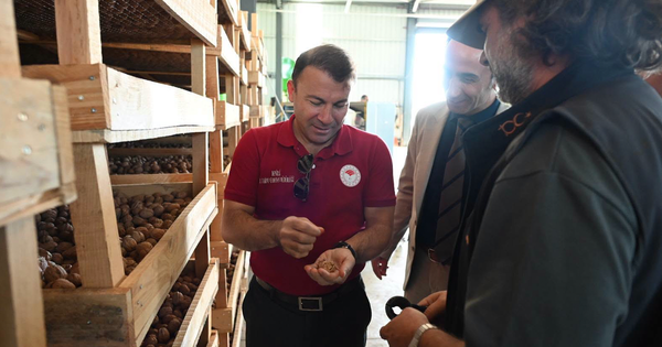 Denizli İl Tarım ve Orman Müdürü Zayim’den Tavas’ta ceviz bahçesine ziyaret