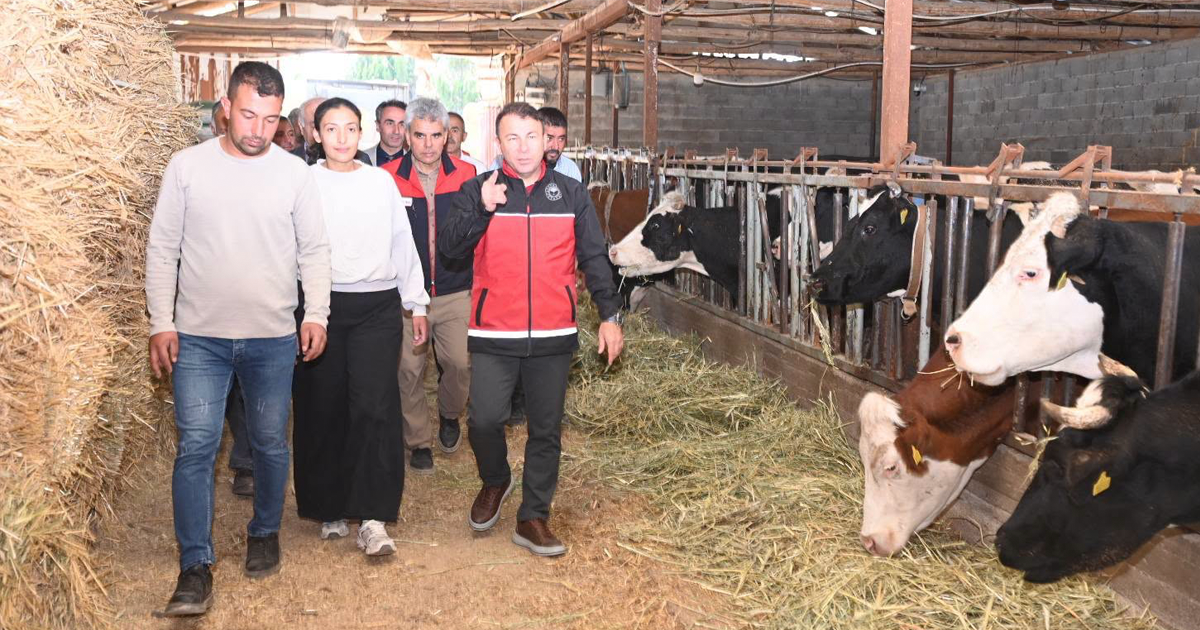 Denizli’de kırsal hayvancılığa destek sürüyor