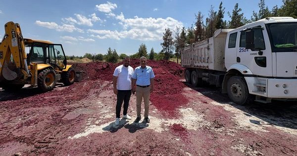 ÇALLI YETİŞTİRİCİLERE PANCAR KÜSPESİ