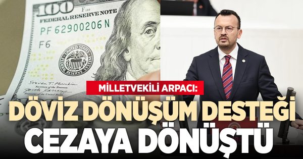 Yeni Parti Milletvekili Arpacı’dan döviz dönüşüm desteği tepkisi