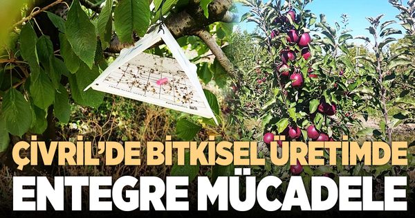 ÇİVRİL’DE BİTKİSEL ÜRETİMDE ENTEGRE MÜCADELE