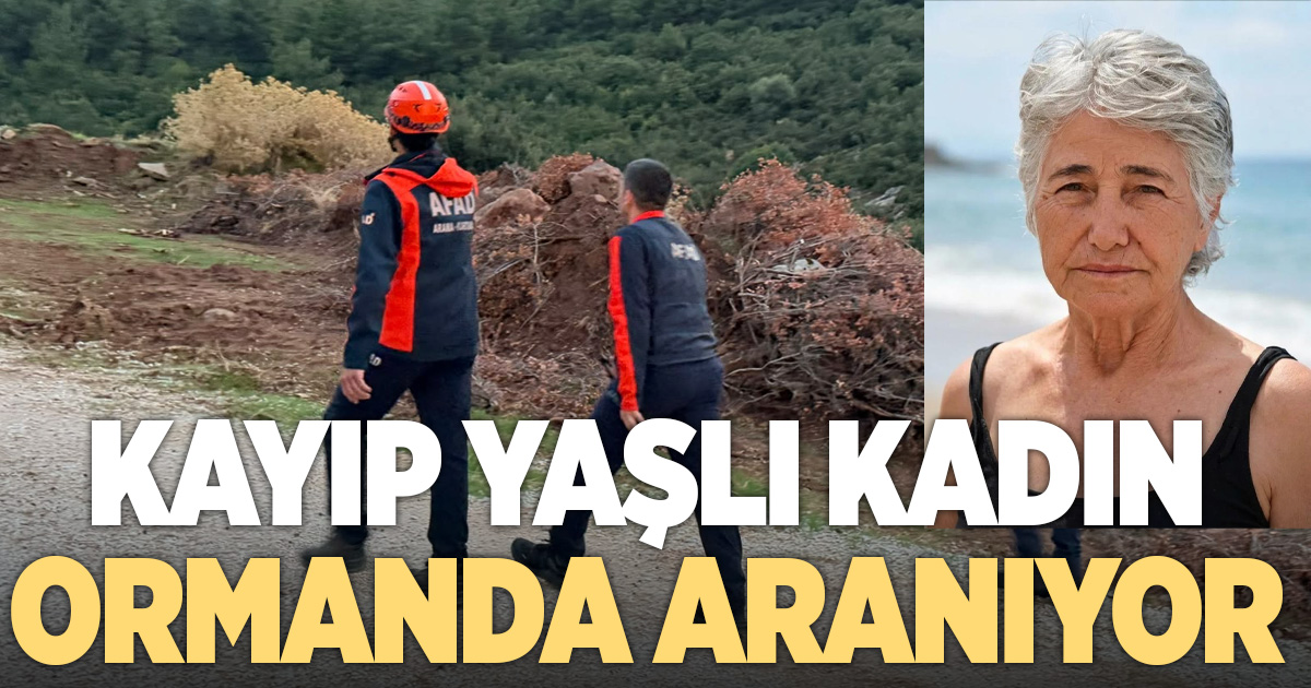 Kayıp yaşlı kadın ormanlık alanda aranıyor