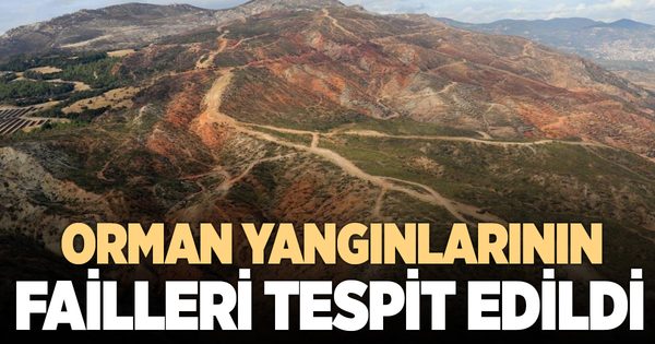 Denizli’de 59 orman yangını çıktı, 23’ünün faili tespit edildi