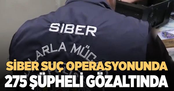 Siber suç operasyonunda 275 gözaltı
