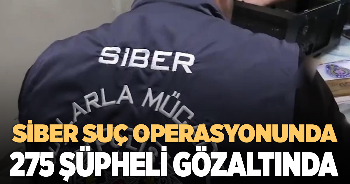 Siber suç operasyonunda 275 gözaltı